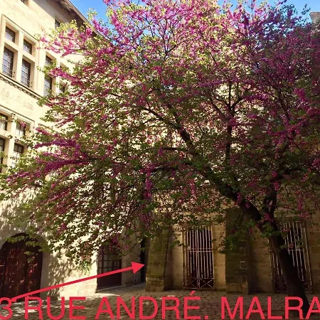 A 50 M De La Place Aux Herbes Uzès