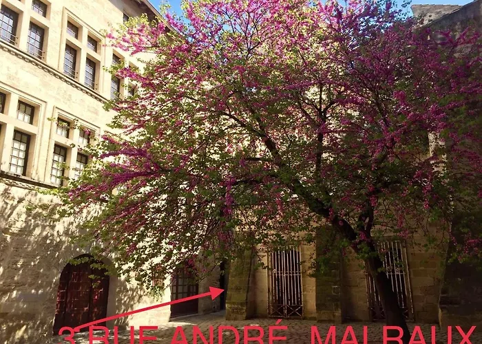 A 50 M De La Place Aux Herbes Uzès
